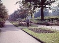 Herbst 1958 im Rosengarten02