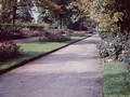 Herbst 1958 im Rosengarten04
