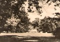 Heuernte auf der Wehrinsel 1954